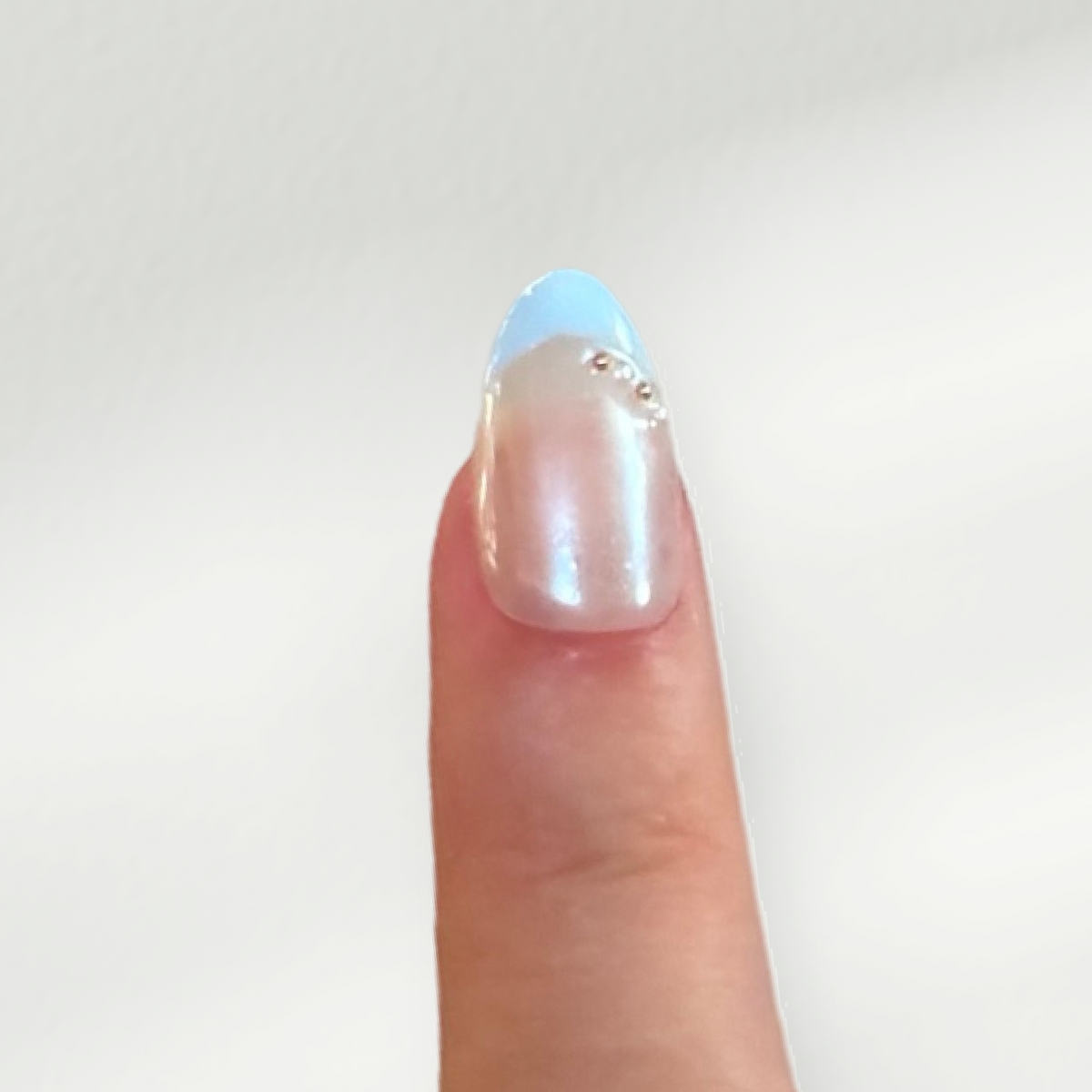 shell collector