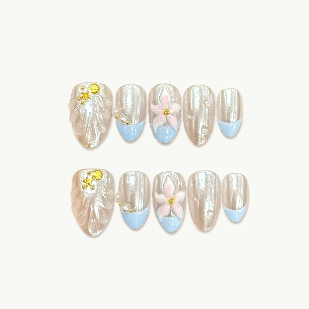 shell collector