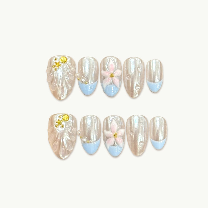 shell collector